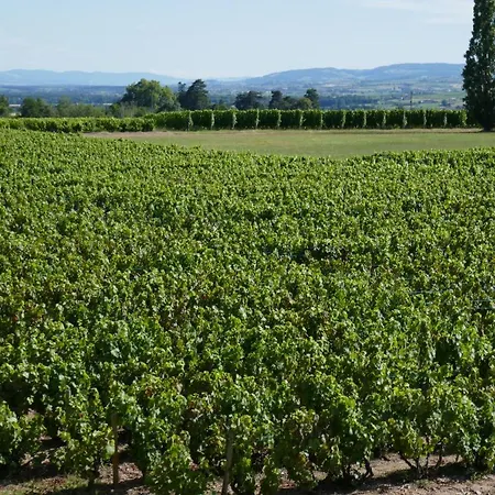 Le Bel Air De Saint Jean * Belleville-en-Beaujolais